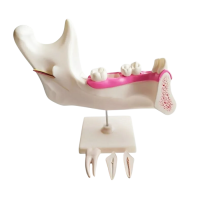 Комплект моделей - «globural.ru» - Серов