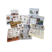 Комплект коллекций демонстрационный - «globural.ru» - Серов