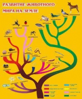 Стенд "Развитие животного мира на земле" - «globural.ru» - Серов
