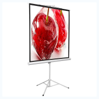 Экран на штативе DSKD-1106 - «globural.ru» - Серов