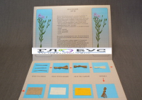 Коллекция "Лен для начальной школы" - «globural.ru» - Серов