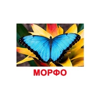 Карточки Домана "Бабочки" - «globural.ru» - Серов
