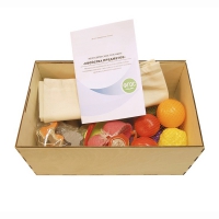 Комплект методических материалов "Свойства предметов" - «globural.ru» - Серов