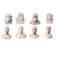 Набор палеонтологических муляжей - «globural.ru» - Серов