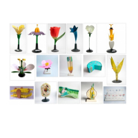 Комплект ботанических моделей демонстрационный - «globural.ru» - Серов