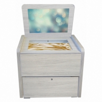 Сундучок психолога-дефектолога "Антошка" - «globural.ru» - Серов