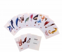 Раздаточные карточки "Мир морей и океанов" - «globural.ru» - Серов