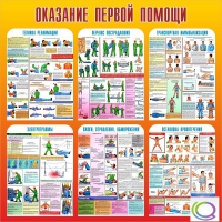 Стенд "Оказание первой помощи" - «globural.ru» - Серов