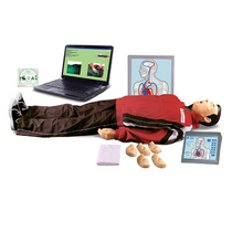 "Максим III-01"  тренажер сердечно-легочной и мозговой реанимации c обучающей компьютерной анимационной программой - «globural.ru» - Серов