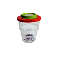 Коробка для изучения насекомых с лупой (вариант 2) - «globural.ru» - Серов