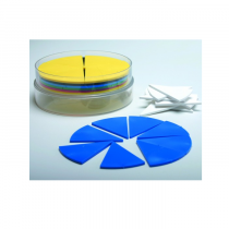 Набор пластин для представления дробей в виде кругов - «globural.ru» - Серов