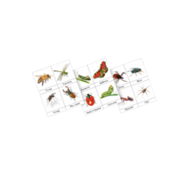 Фланелеграф "Насекомые" - «globural.ru» - Серов