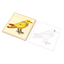 Строение птицы с контуром. - «globural.ru» - Серов