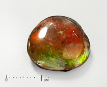 Аммолит (ископаемый перламутр аммонита) с горным хрусталем, дублет - «globural.ru» - Серов