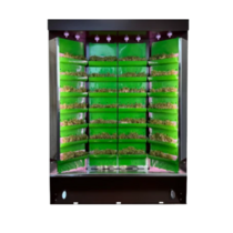 Вертикальная ферма "Моя Микрозелень" комплектация "Театро настольная" - «globural.ru» - Серов