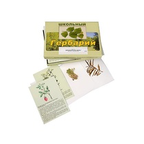 Гербарий "Для начальной школы" (30 видов, с иллюстрациями) - «globural.ru» - Серов