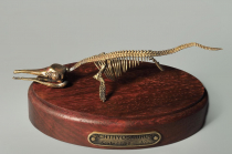 Модель скелета ихтиозавра Ichthyosaurus - «globural.ru» - Серов