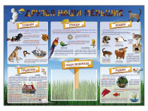 Стенд-уголок "Друзья наши меньшие" - «globural.ru» - Серов