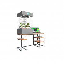 Цифровая био система по выращиванию растений для ДОУ. Базовый уровень - «globural.ru» - Серов