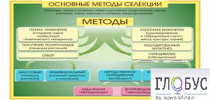 Стенд "Методы селекции и биотехнологии" - «globural.ru» - Серов