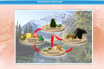 Интерактивные курсы. Биология 7 класс. Базовый - «globural.ru» - Серов