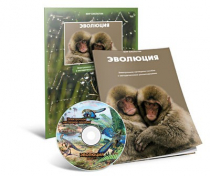 Электронное наглядное пособие «Эволюция» - «globural.ru» - Серов