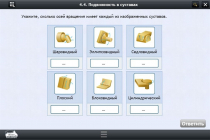 Интерактивные курсы. Биология 8 класс. Расширенный - «globural.ru» - Серов