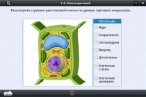 Интерактивные курсы. Биология 9 класс. Расширенный - «globural.ru» - Серов