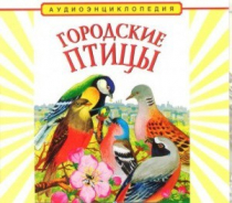 CD "Аудиоэнциклопедия. Городские птицы" - «globural.ru» - Серов