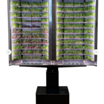 Вертикальная  ферма «Моя микрозелень» комплектация  «Театро настенная» - «globural.ru» - Серов