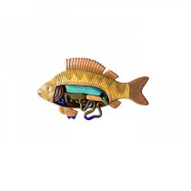 Модель барельефная "Внутреннее строение рыбы" - «globural.ru» - Серов