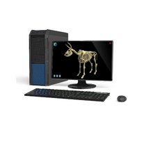 Макет масштабный «Скелет Коровы» Масштаб 1:2 - «globural.ru» - Серов