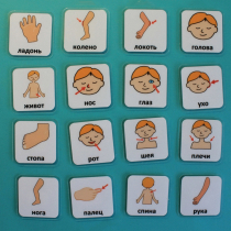 Набор карточек "Части тела" - «globural.ru» - Серов