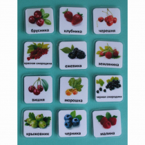 Набор карточек "Ягоды" - «globural.ru» - Серов