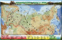 Электронно-информационный (маркерный) стенд "Природа России" - «globural.ru» - Серов