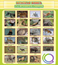 Стенд "Красная книга - млекопитающие" - «globural.ru» - Серов