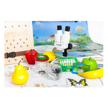 Учебно-методический набор для проектной деятельности в ДОО №1–ЕН (химия, биология, анатомия) - «globural.ru» - Серов