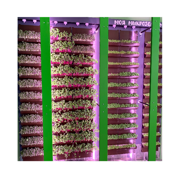 Вертикальная ферма "Моя Микрозелень" комплектация Школьная - «globural.ru» - Серов