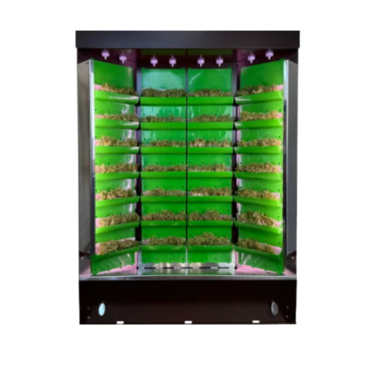 Вертикальная ферма "Моя Микрозелень" комплектация "Театро настольная" - «globural.ru» - Серов