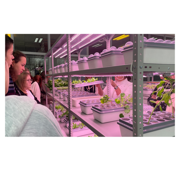 АГРОпространство для ВУЗ/СПО - «globural.ru» - Серов