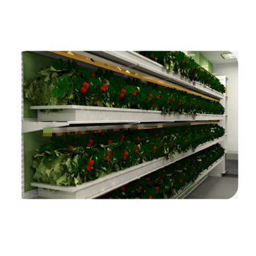 Стеллаж для выращивания клубники "Стена" - «globural.ru» - Серов