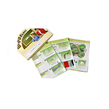 Коллекция "Шелк" (начальная школа) - «globural.ru» - Серов