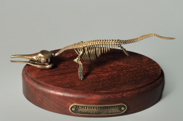 Модель скелета ихтиозавра Ichthyosaurus - «globural.ru» - Серов
