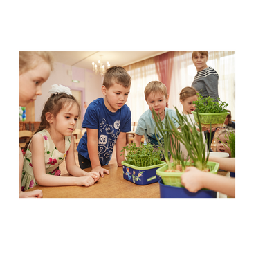 Обучающий комплект экологической направленности "Сити-фермер 2.0 Детский сад" 30 человек - «globural.ru» - Серов