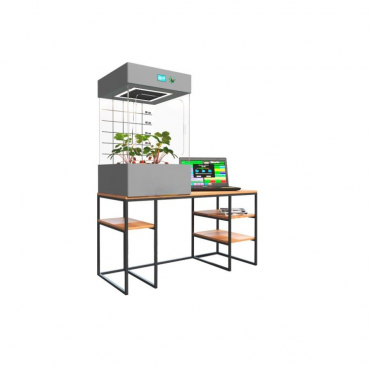 Цифровая био система по выращиванию растений для ДОУ. Расширенный уровень - «globural.ru» - Серов