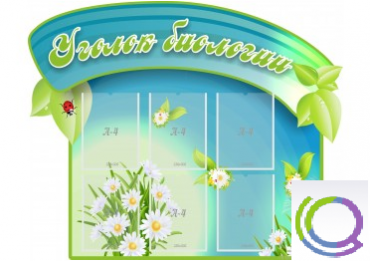 Стенд "Уголок биологии" - «globural.ru» - Серов