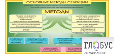 Стенд "Методы селекции и биотехнологии" - «globural.ru» - Серов
