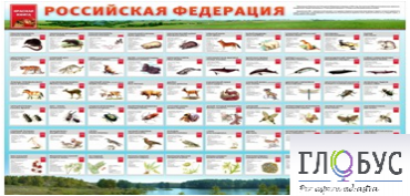 Стенд "Красная книга РФ" - «globural.ru» - Серов