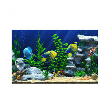 Интерактивный аттракционный комплекс "Водный мир" - «globural.ru» - Серов