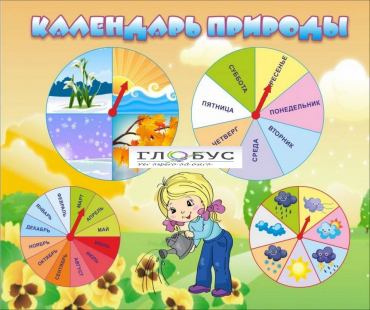 Стенд "Календарь природы" (вариант 1) - «globural.ru» - Серов
